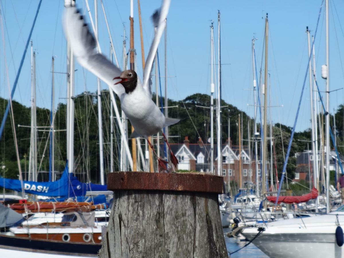 Bentleys Coast And Country B&B Lymington Exterior photo